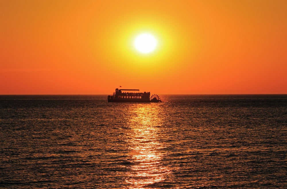 Dinner & Boat Tour Experience