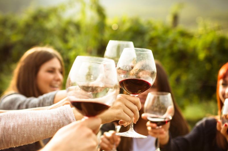 Wine Tasting Experience