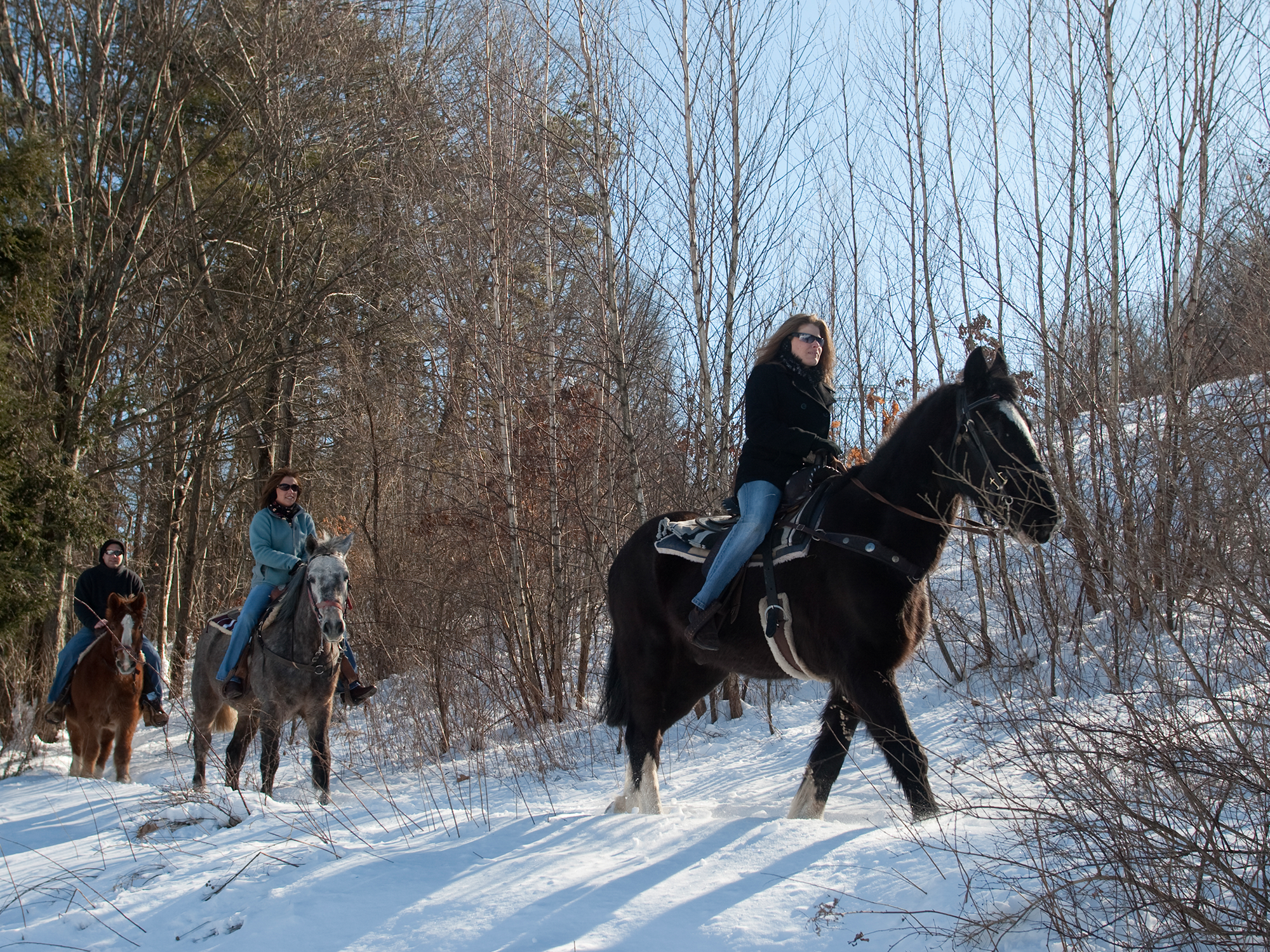 People riding horses in a snowy landscape with leafless trees.
