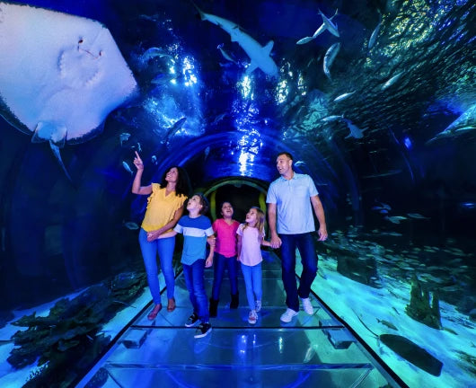 SEA LIFE Orlando Aquarium Package | 4 Days 3 Nights | One-Bedroom Unit at Summer Bay Orlando